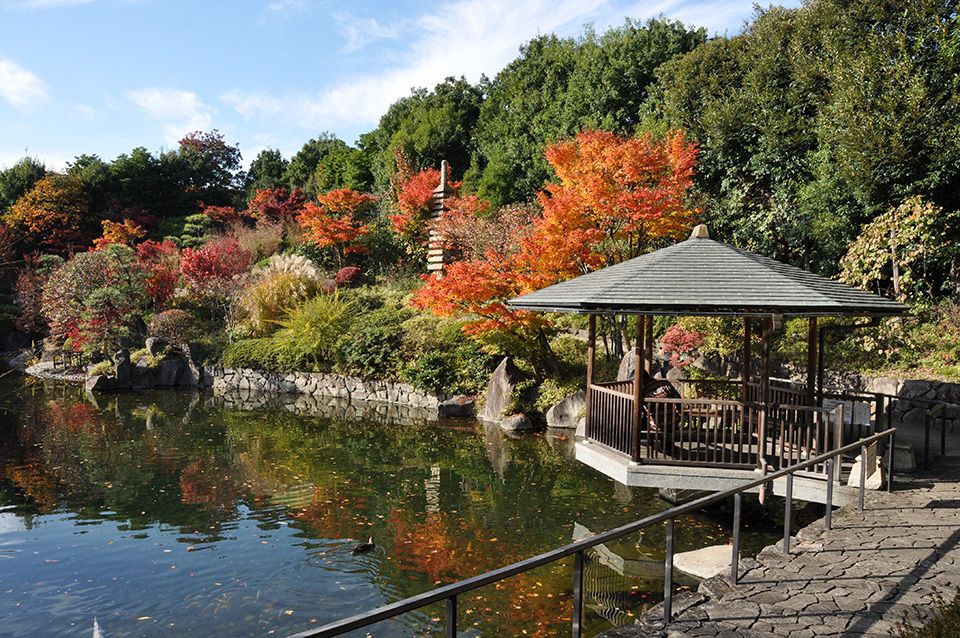 4月8日(水)・第28回例会