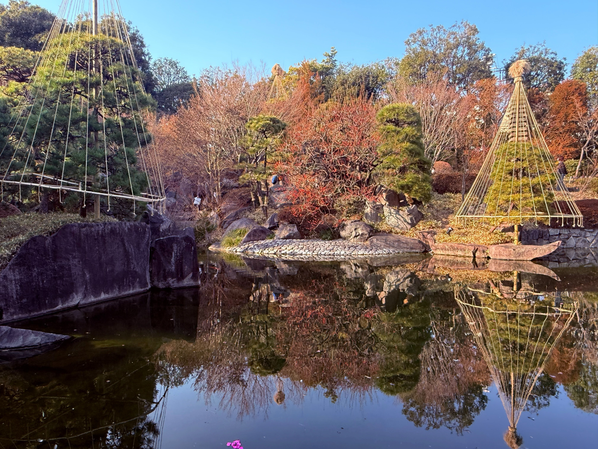 東京目白ロータリークラブ メインビジュアル